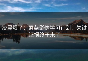 凌晨爆了：蘑菇影像学习计划，关键证据终于来了