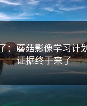 凌晨爆了：蘑菇影像学习计划，关键证据终于来了