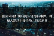 刚刚刚刚！黑料网实锤爆料事件，神秘人现场引爆全场，持续刷屏