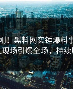 刚刚刚刚！黑料网实锤爆料事件，神秘人现场引爆全场，持续刷屏