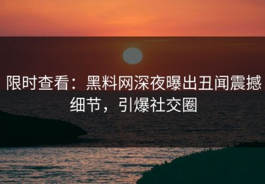 限时查看：黑料网深夜曝出丑闻震撼细节，引爆社交圈