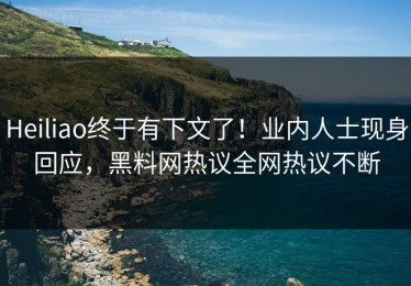 Heiliao终于有下文了！业内人士现身回应，黑料网热议全网热议不断