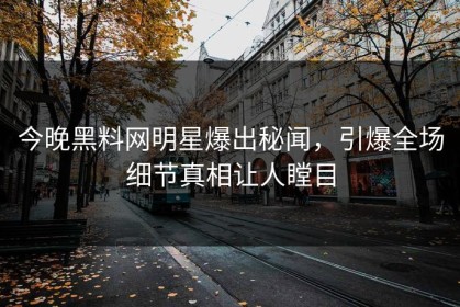 今晚黑料网明星爆出秘闻，引爆全场细节真相让人瞠目