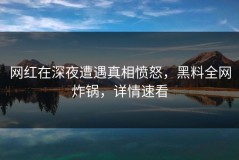 网红在深夜遭遇真相愤怒，黑料全网炸锅，详情速看