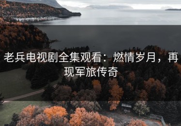 老兵电视剧全集观看：燃情岁月，再现军旅传奇