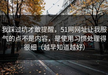 我踩过坑才敢提醒，51网网址让我服气的点不是内容，是使用习惯处理得很细（越早知道越好）