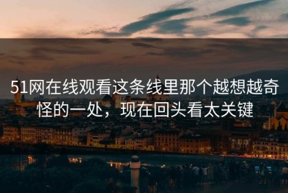 51网在线观看这条线里那个越想越奇怪的一处，现在回头看太关键