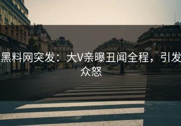 黑料网突发：大V亲曝丑闻全程，引发众怒
