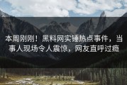 本周刚刚！黑料网实锤热点事件，当事人现场令人震惊，网友直呼过瘾