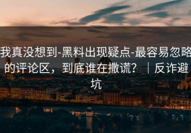 我真没想到-黑料出现疑点-最容易忽略的评论区，到底谁在撒谎？｜反诈避坑