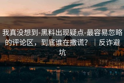 我真没想到-黑料出现疑点-最容易忽略的评论区，到底谁在撒谎？｜反诈避坑