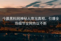 今晨黑料网神秘人爆出真相，引爆全场细节全网热议不断