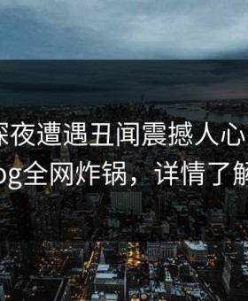 明星在深夜遭遇丑闻震撼人心，糖心vlog全网炸锅，详情了解