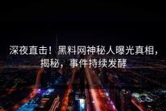 深夜直击！黑料网神秘人曝光真相，揭秘，事件持续发酵