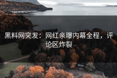 黑料网突发：网红亲曝内幕全程，评论区炸裂