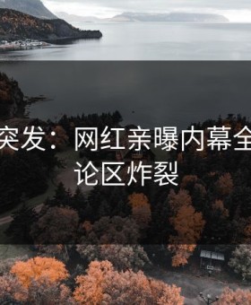 黑料网突发：网红亲曝内幕全程，评论区炸裂