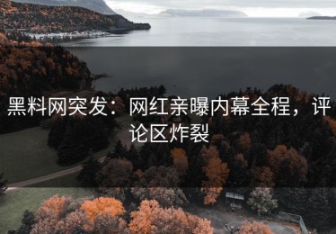 黑料网突发：网红亲曝内幕全程，评论区炸裂