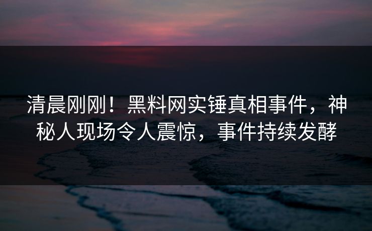 清晨刚刚！黑料网实锤真相事件，神秘人现场令人震惊，事件持续发酵