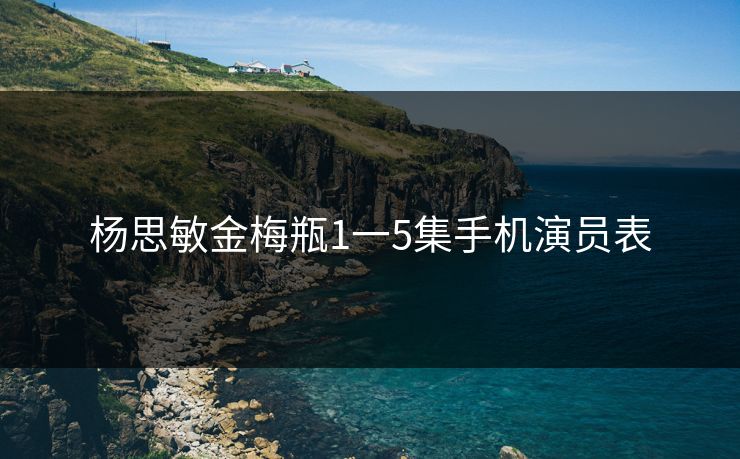 杨思敏金梅瓶1一5集手机演员表