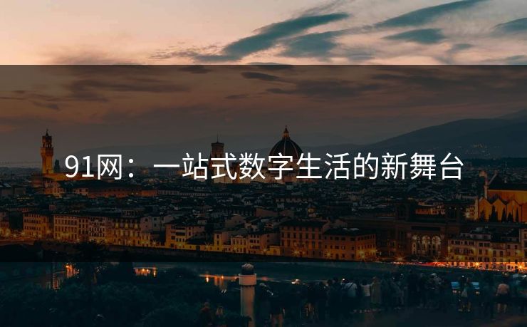 91网：一站式数字生活的新舞台